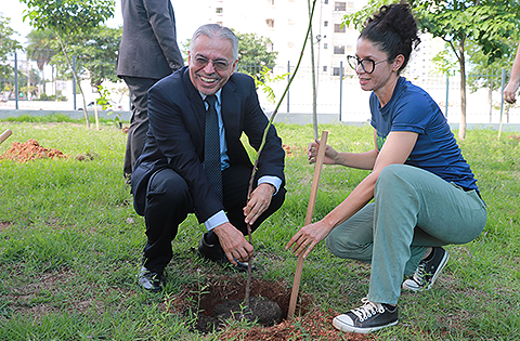TRT implanta projeto de arborização com plantio de 100 árvores
