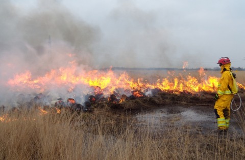Abril Verde - Empresa é condenada a indenizar pais de filho único morto em incêndio