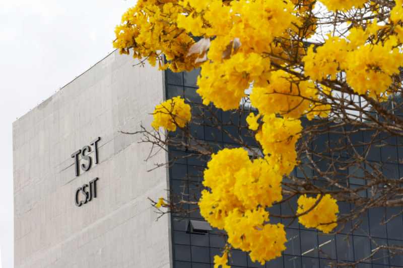 Foto de detalhe da fachada superior do prédio do TST e do CSJT. Em primeiro plano, um pé de Ipê amarelo.